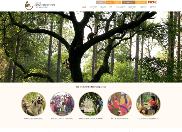 The Lemur Conservation